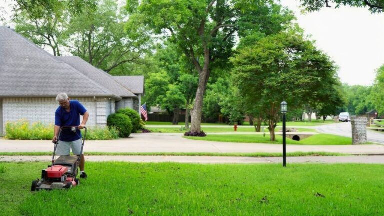 The Hidden Costs of Keeping a Big Yard Alive Through a Texas Summer
