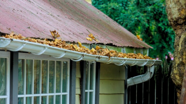 The Texas Home Maintenance Mistakes That Get Expensive Fast