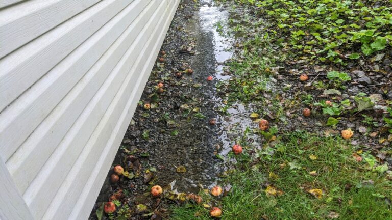The Yard and Drainage Problems That Can Wreck a Texas Home Over Time