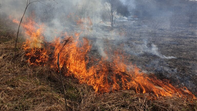 Fort Worth Is Intentionally Setting More Land on Fire — But There’s a Good Reason