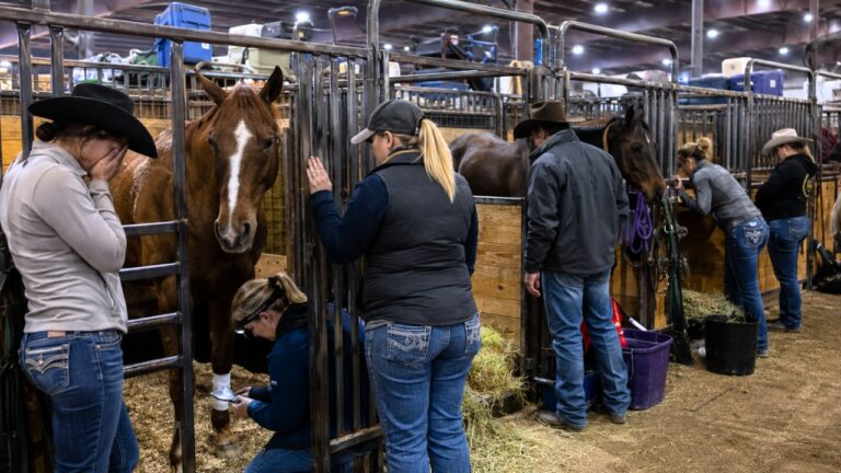 A Barrel Racing Barn Attack Has Riders Asking: How Safe Are Horses Overnight at Big Shows?